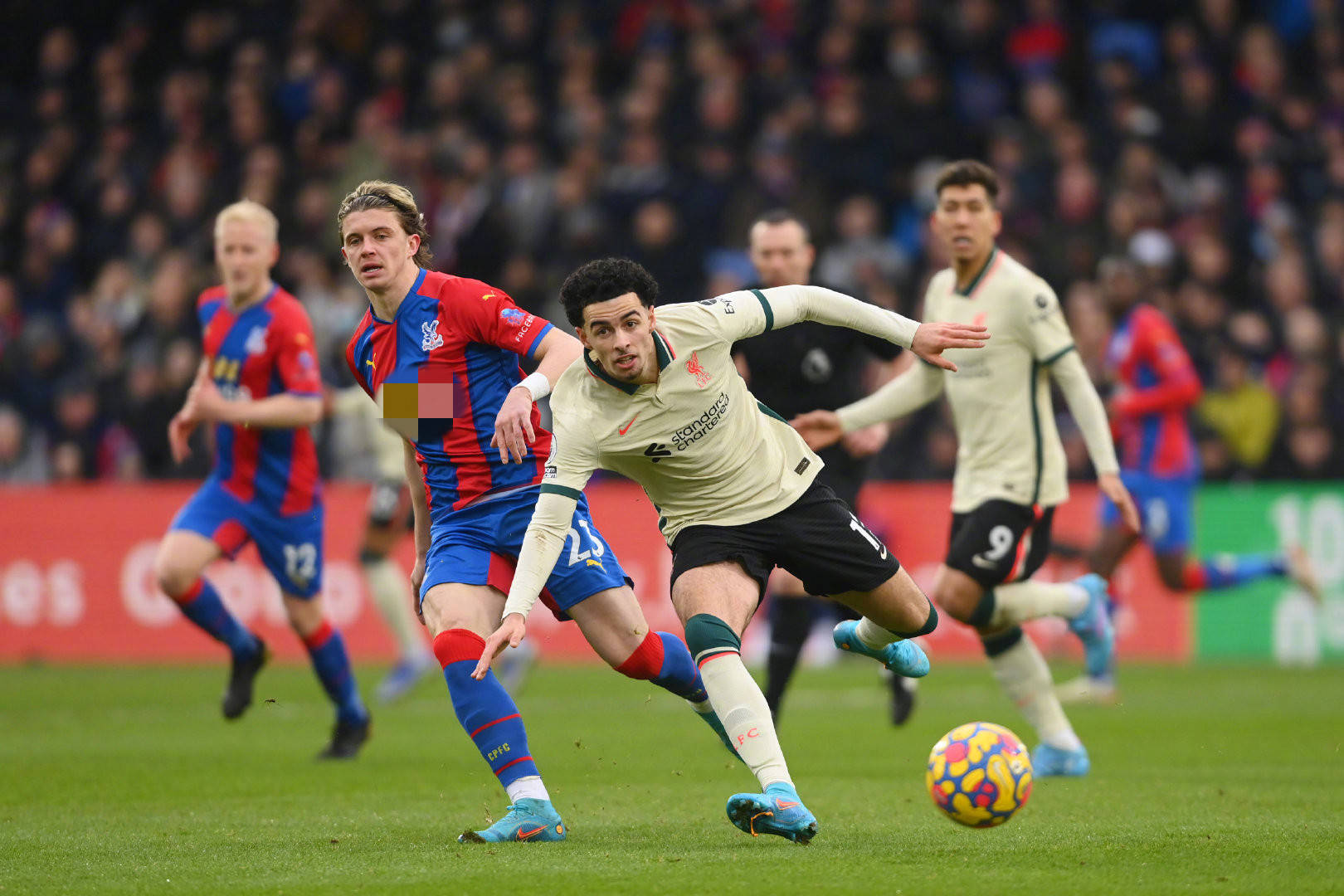 展现出色的 展现出色的